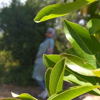 ديما ابو عليم